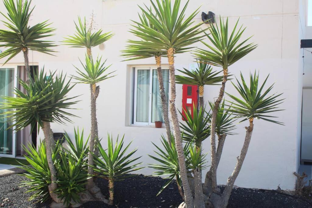 Pachi Beach Alisios Playa Corralejo Exterior photo